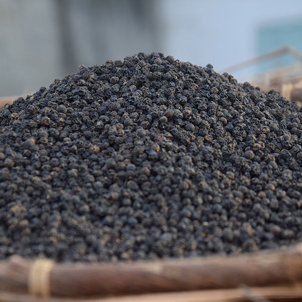 Read more about the article Black pepper