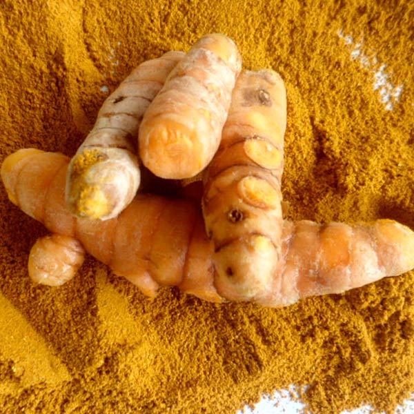 Read more about the article Curcuma